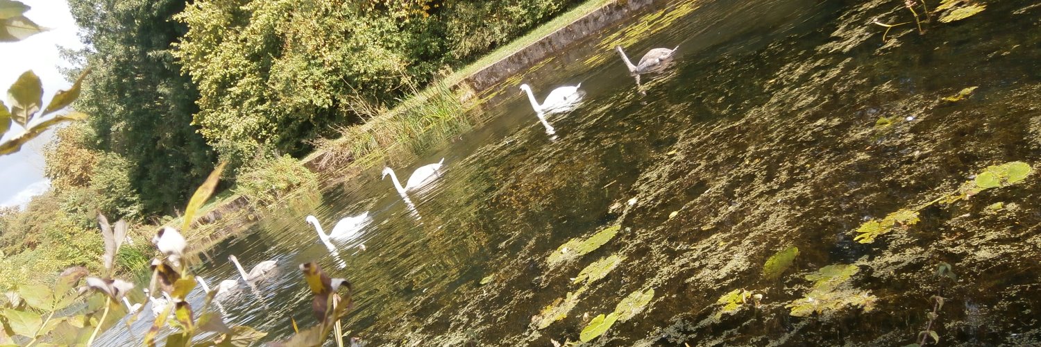 Sankey valley park