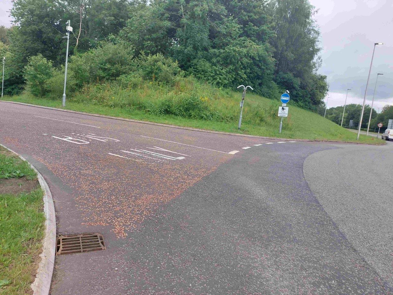 Birchwood bus lane - The entrance and exit of the bus lane on Birchwood Way